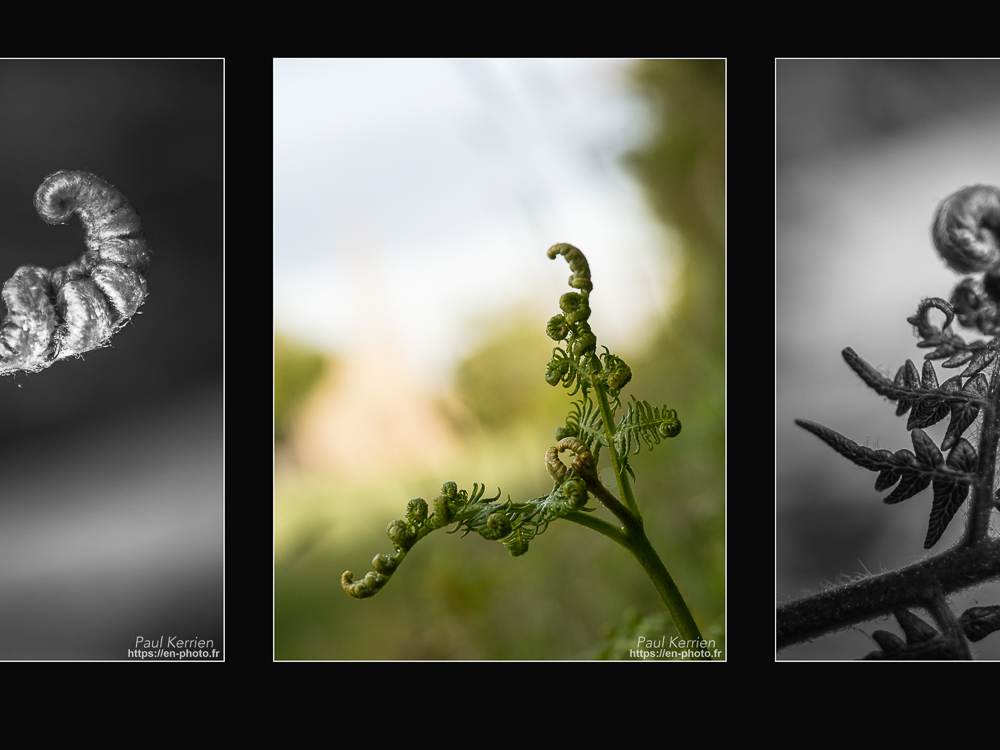 diptyque et triptyque